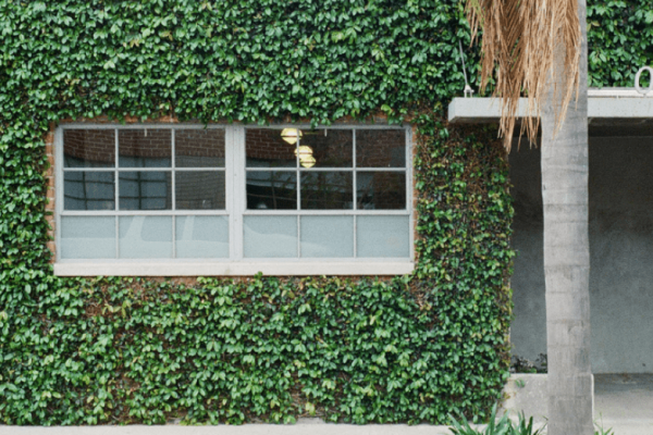 The_Field_1-min The_Field_1-min