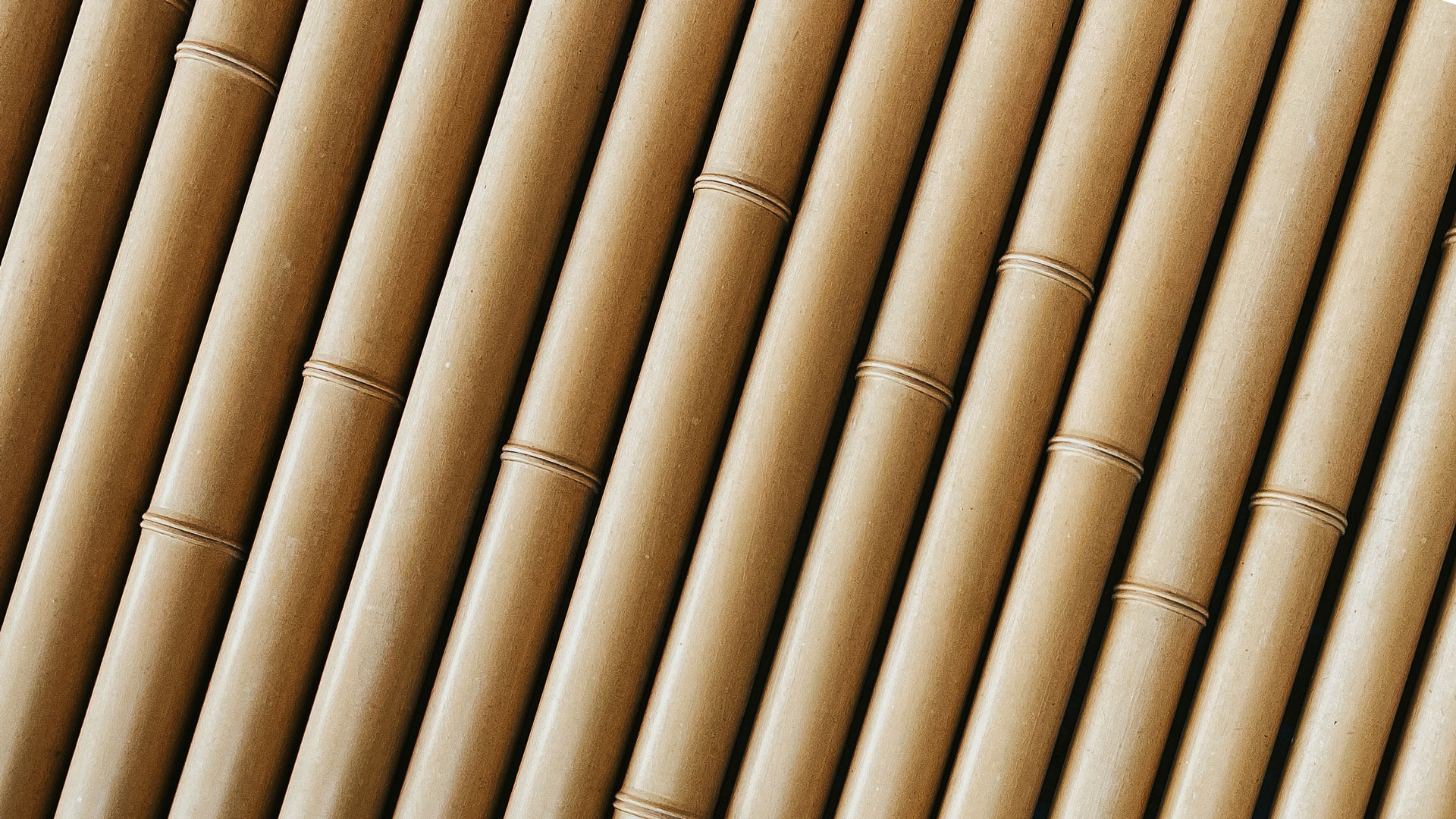bamboe als biobases bouwmateriaal