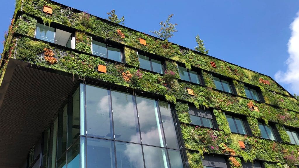 gebouw met groene gevel