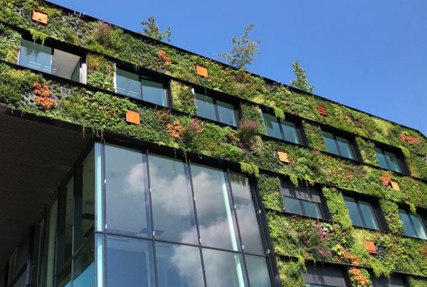 gebouw met groene gevel