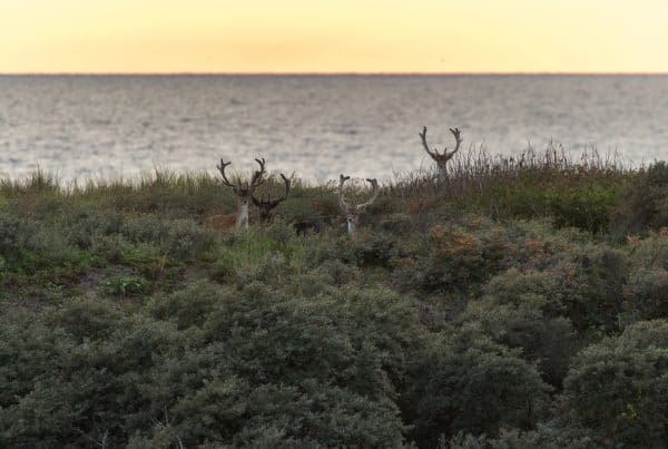 Noordwijk Circulariteit